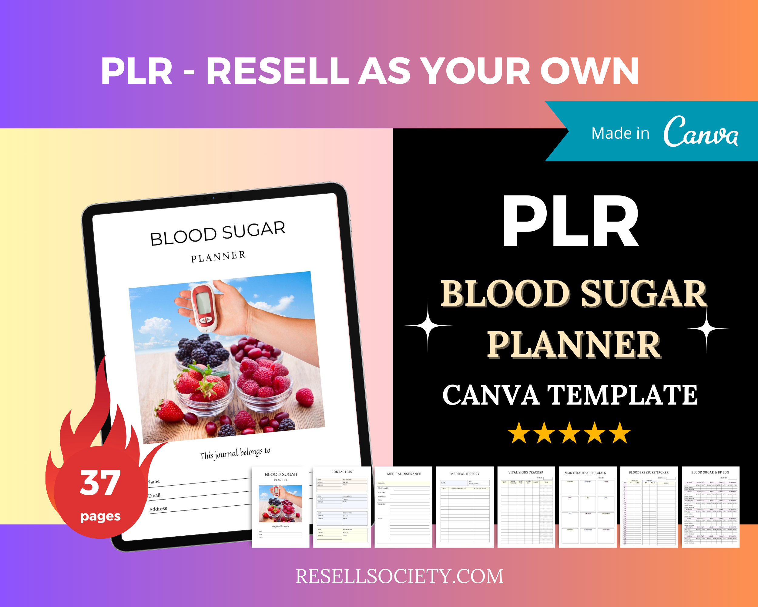 Blood Sugar Planner in Canva | Canva Template Pack | Blood Sugar Journal Template | Commercial Use