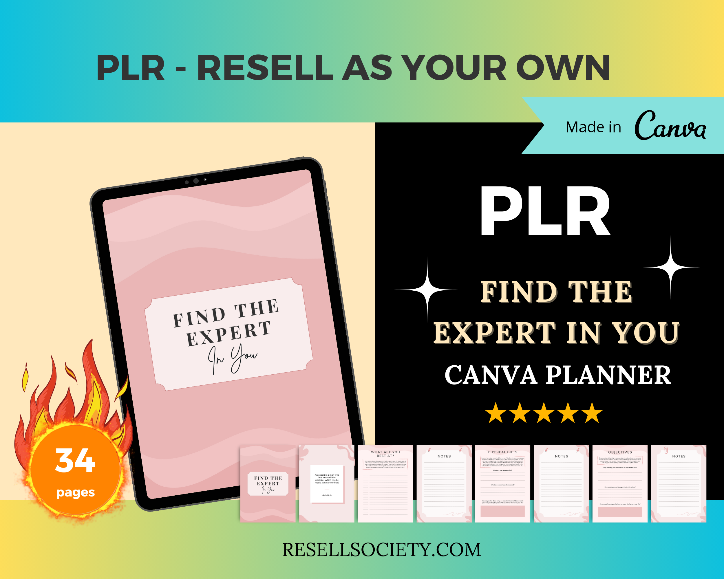 Editable Becoming Expert Planner Templates in Canva | Canva Template Pack | Expert in Narrow Field | Commercial Use