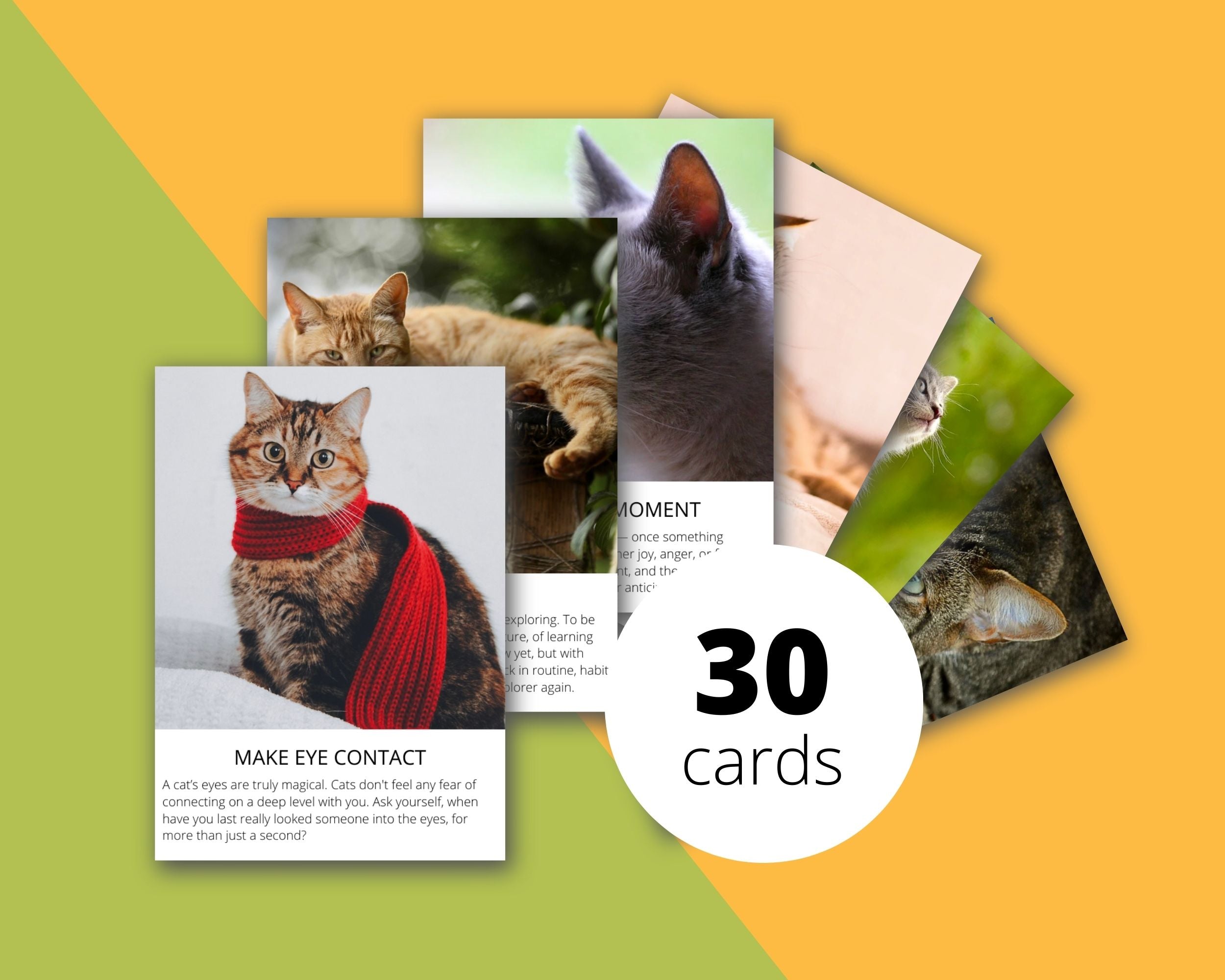 Spiritual Lessons from Cats Card Deck | Editable 30 Card Deck in Canva | Size 2"x 2.7" | Commercial Use